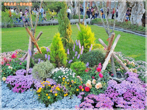 2013士林官邸菊展「菊世無雙」：『台北。展覽』【2013士林官邸菊展：菊世無雙】原來菊花也能這麼美