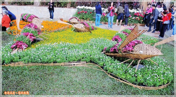 2013士林官邸菊展「菊世無雙」：『台北。展覽』【2013士林官邸菊展：菊世無雙】原來菊花也能這麼美