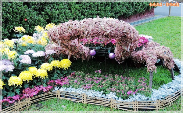 2013士林官邸菊展「菊世無雙」：『台北。展覽』【2013士林官邸菊展：菊世無雙】原來菊花也能這麼美