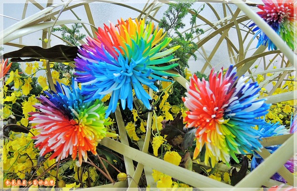 2013士林官邸菊展「菊世無雙」：『台北。展覽』【2013士林官邸菊展：菊世無雙】原來菊花也能這麼美