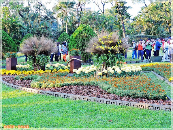 2013士林官邸菊展「菊世無雙」：『台北。展覽』【2013士林官邸菊展：菊世無雙】原來菊花也能這麼美