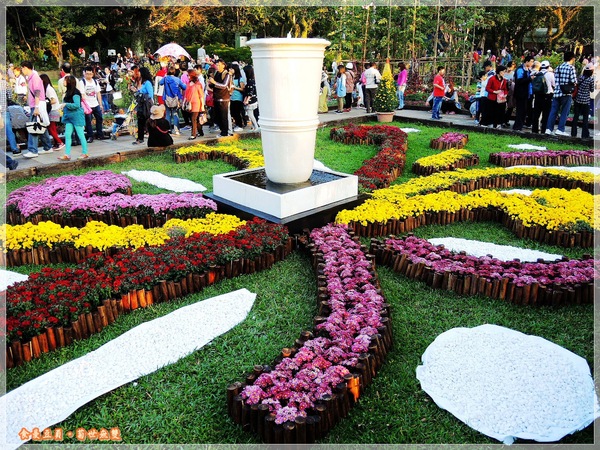 2013士林官邸菊展「菊世無雙」：『台北。展覽』【2013士林官邸菊展：菊世無雙】原來菊花也能這麼美