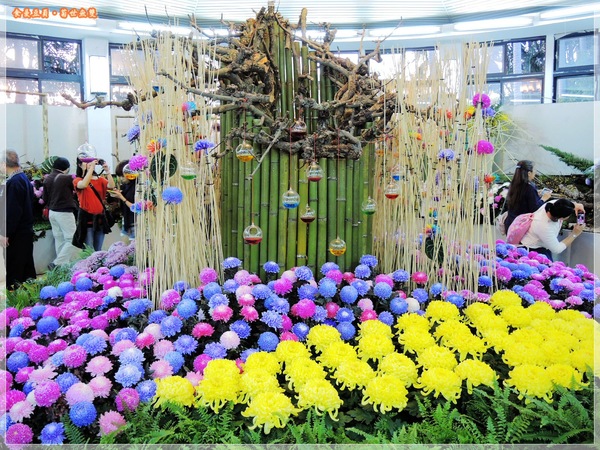 2013士林官邸菊展「菊世無雙」：『台北。展覽』【2013士林官邸菊展：菊世無雙】原來菊花也能這麼美