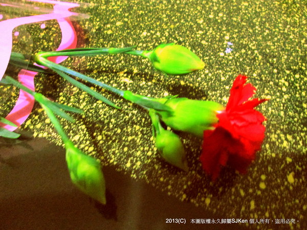 cm20130515_144431_611438_0d668acad6a77f4