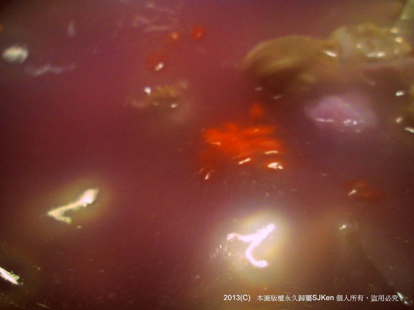 cm20130515_144431_611438_e1ab1887312b6bb