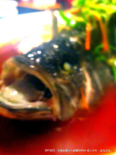 cm20130515_144431_611438_92ce8bf1e595236