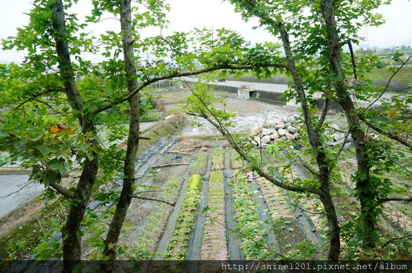 宜蘭梅花湖民宿 北方札特異國風民宿