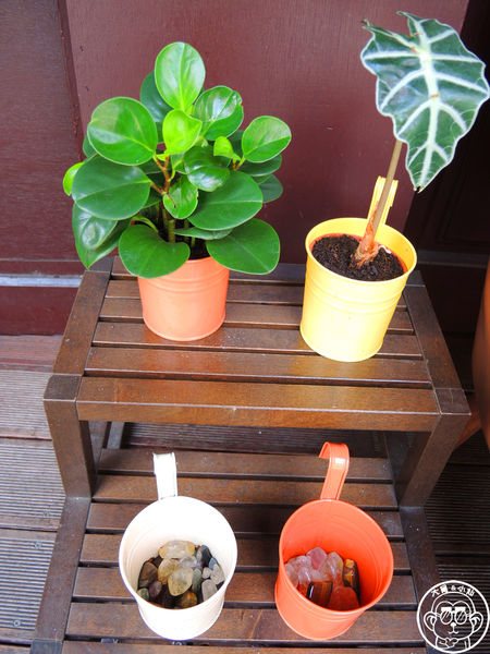 寅樂屋 Torarakuya-Taipei：呷飽祙【台北信義･寅樂屋】咖哩飯專賣店