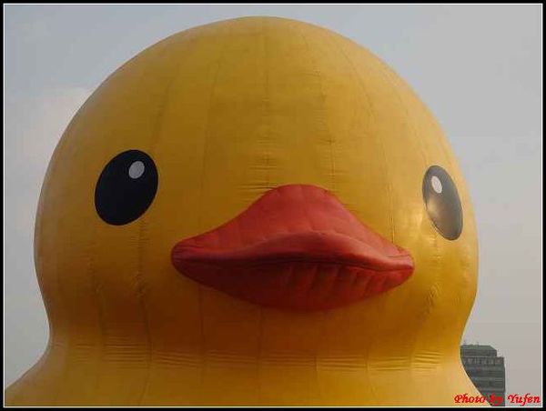 基隆-黃色小鴨123.jpg