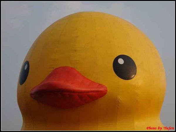 基隆-黃色小鴨127.jpg