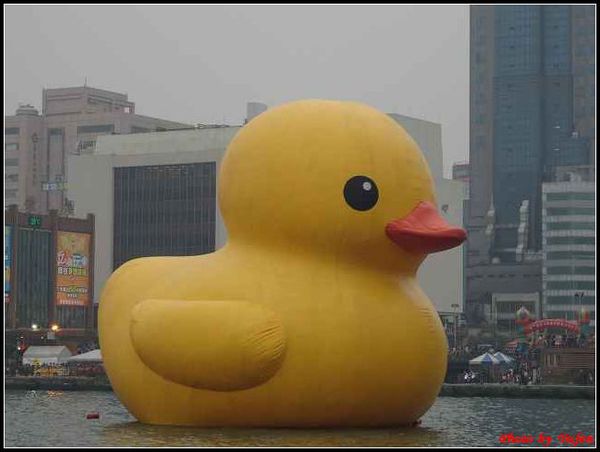 基隆-黃色小鴨005.jpg