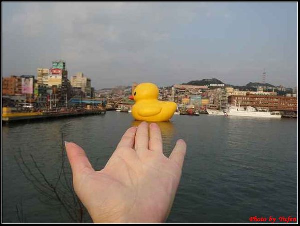 基隆-黃色小鴨156.jpg