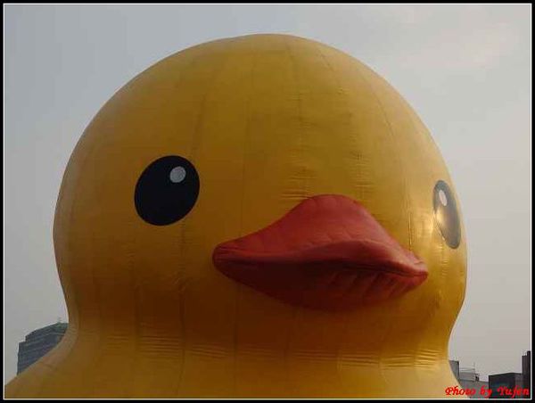 基隆-黃色小鴨121.jpg