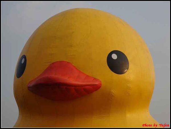 基隆-黃色小鴨126.jpg