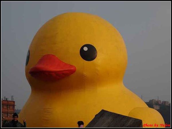 基隆-黃色小鴨129.jpg