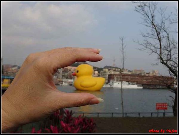 基隆-黃色小鴨153.jpg