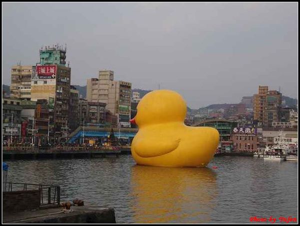 基隆-黃色小鴨086.jpg