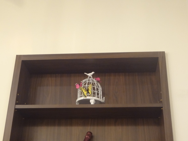 亞丁尼義式麵屋：1021124[官本金文愛台灣口碑券第17彈]亞丁尼義式麵屋整盤麵比月亮還大難怪史努比都住進來不想走