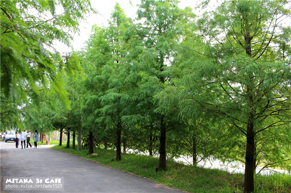 MITAKA 3e CAFE： MITAKA 3e CAFE✪黃昏×夜景×可愛元素(房子、車子、龍貓...)，悠閒放鬆的好去處~103.08.29