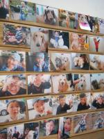 KIWI義大利餐廳：台中美味的義式餐廳──KIWI