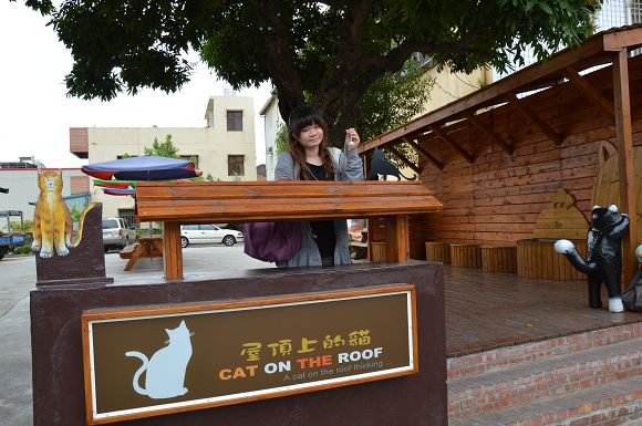 屋頂上的貓18