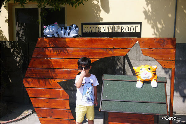 屋頂上的貓。頂溪3D立體彩繪村：［雲林］和貓咪喝咖啡。【屋頂上的貓】頂溪社區立體彩繪村