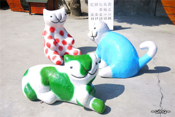 屋頂上的貓。頂溪3D立體彩繪村：［雲林］和貓咪喝咖啡。【屋頂上的貓】頂溪社區立體彩繪村