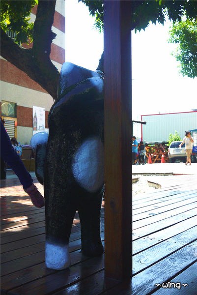 屋頂上的貓。頂溪3D立體彩繪村：［雲林］和貓咪喝咖啡。【屋頂上的貓】頂溪社區立體彩繪村