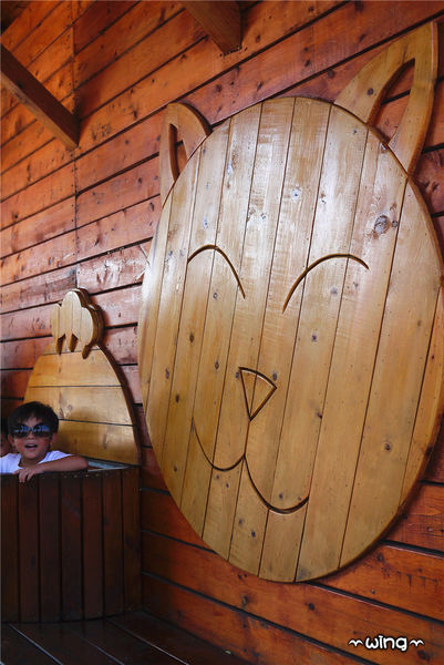 屋頂上的貓。頂溪3D立體彩繪村：［雲林］和貓咪喝咖啡。【屋頂上的貓】頂溪社區立體彩繪村