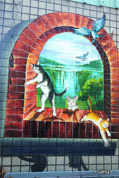 屋頂上的貓。頂溪3D立體彩繪村：［雲林］和貓咪喝咖啡。【屋頂上的貓】頂溪社區立體彩繪村