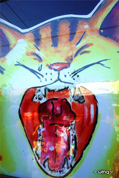 屋頂上的貓。頂溪3D立體彩繪村：［雲林］和貓咪喝咖啡。【屋頂上的貓】頂溪社區立體彩繪村