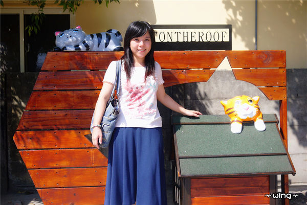 屋頂上的貓。頂溪3D立體彩繪村：［雲林］和貓咪喝咖啡。【屋頂上的貓】頂溪社區立體彩繪村