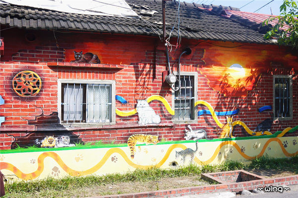 屋頂上的貓。頂溪3D立體彩繪村：［雲林］和貓咪喝咖啡。【屋頂上的貓】頂溪社區立體彩繪村