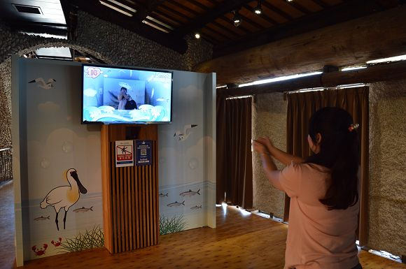 虱目魚主題館41