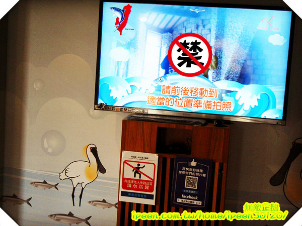 虱目魚主題館(府城館):【台南-安平】假日遊玩好去處!《虱目魚主題館》