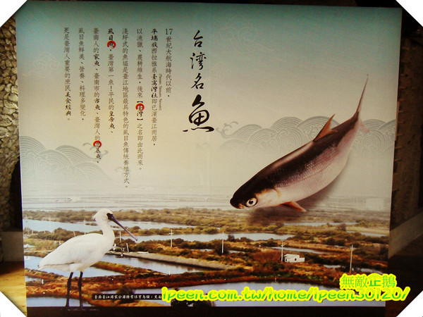 虱目魚主題館(府城館):【台南-安平】假日遊玩好去處!《虱目魚主題館》