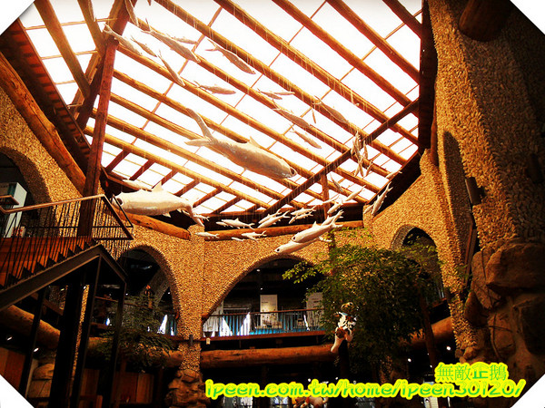 虱目魚主題館(府城館):【台南-安平】假日遊玩好去處!《虱目魚主題館》