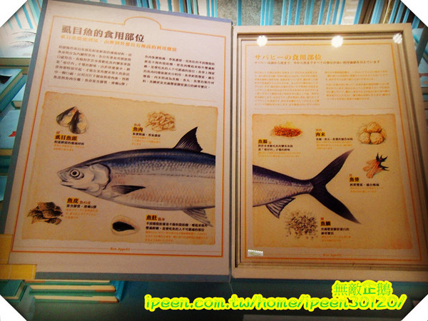 虱目魚主題館(府城館):【台南-安平】假日遊玩好去處!《虱目魚主題館》