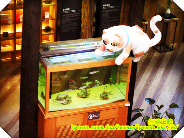 虱目魚主題館(府城館):【台南-安平】假日遊玩好去處!《虱目魚主題館》