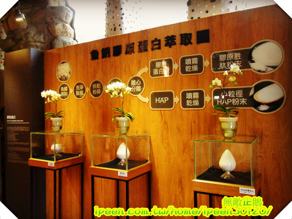 虱目魚主題館(府城館):【台南-安平】假日遊玩好去處!《虱目魚主題館》