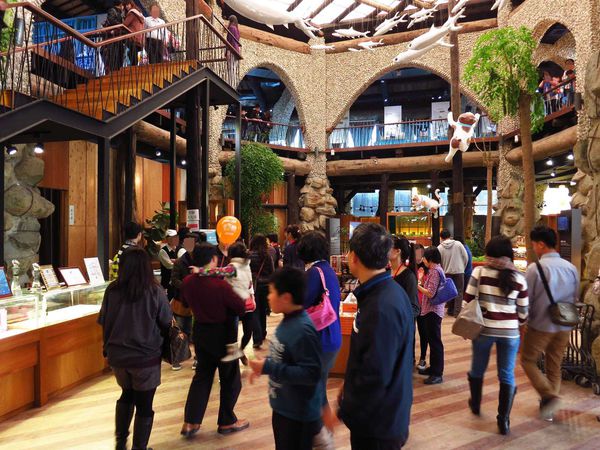 【台南】虱目魚主題館-美味虱目魚料理