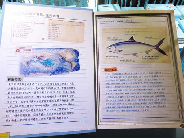 【台南】虱目魚主題館-美味虱目魚料理