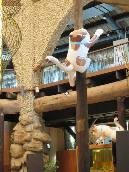 虱目魚主題館：來去抓虱目魚2..  寓教於樂篇~