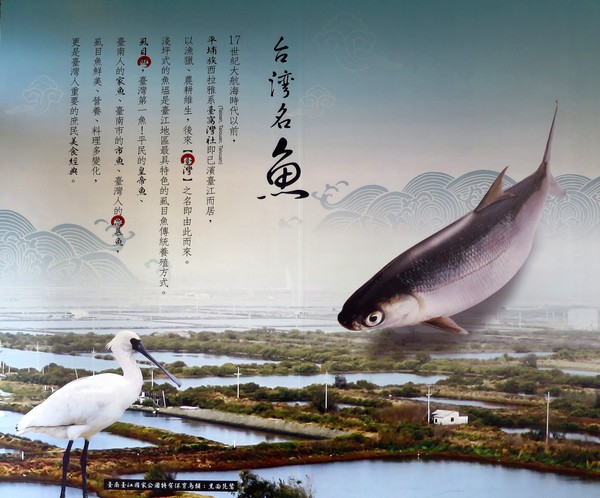 虱目魚主題館：來去抓虱目魚.. 美食篇~ ... 虱目魚主題館