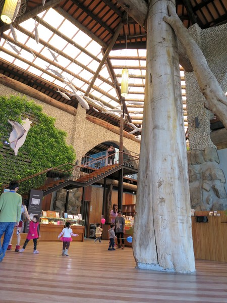 虱目魚主題館：來去抓虱目魚2..  寓教於樂篇~