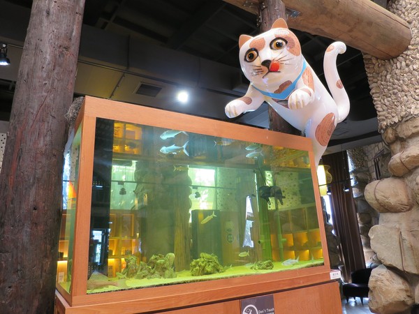 虱目魚主題館:來去抓虱目魚2.. 寓教於樂篇~