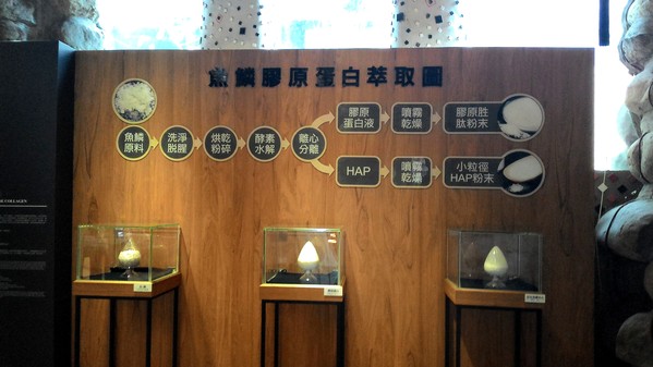 虱目魚主題館：來去抓虱目魚2..  寓教於樂篇~