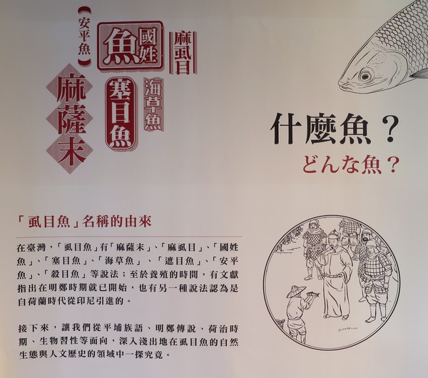 虱目魚主題館:來去抓虱目魚2.. 寓教於樂篇~