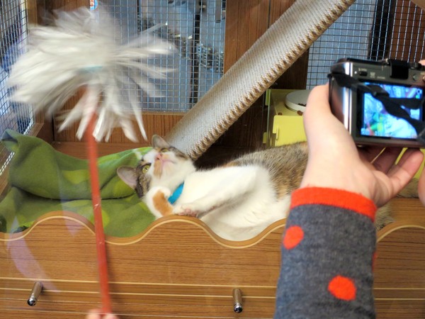 虱目魚主題館：來去抓虱目魚2..  寓教於樂篇~