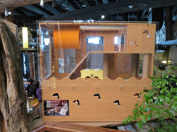 虱目魚主題館：來去抓虱目魚2..  寓教於樂篇~